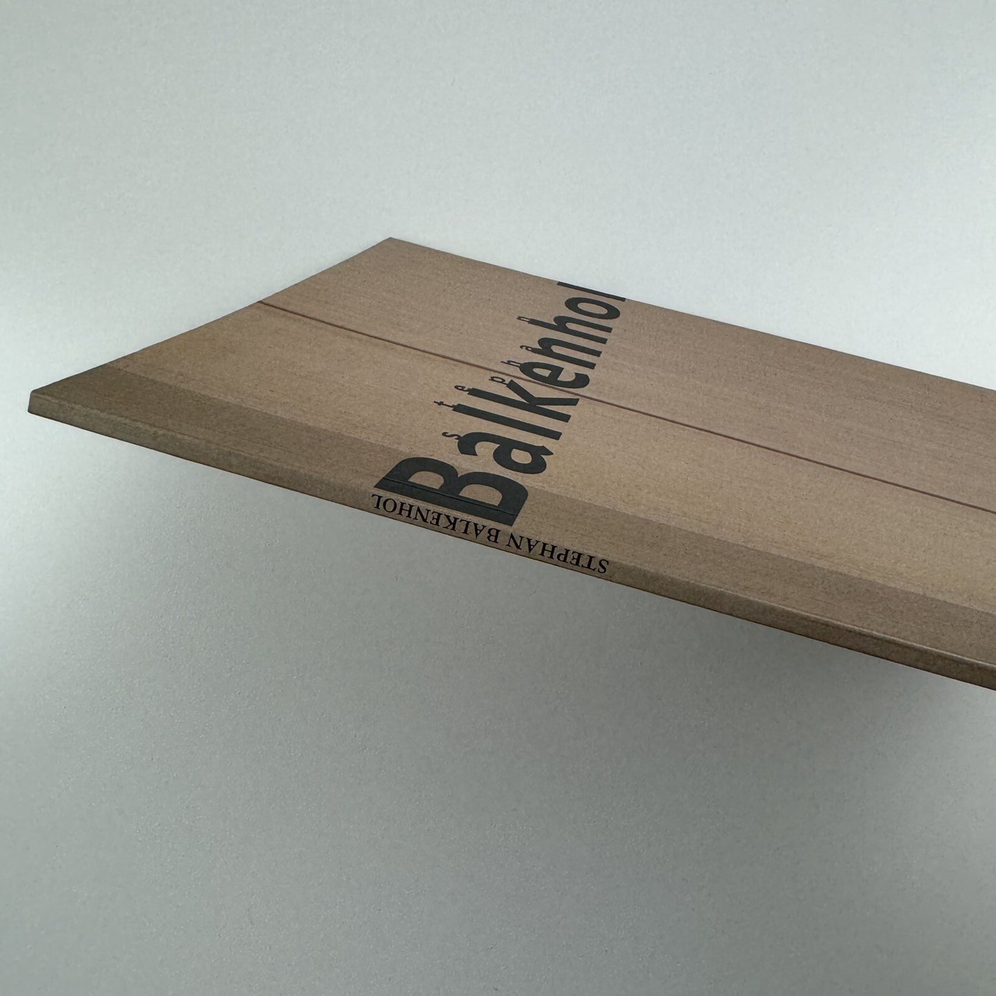 Stephan Balkenhol | Galerie Thaddaeus Ropac, Paris exhibition catalogue 1999