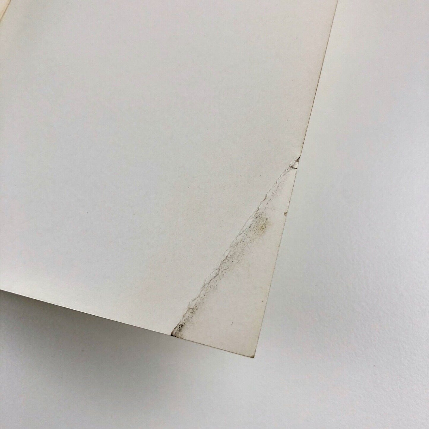 Cross Section 1964 London-Leicester | Leicester Museum & Art Gallery