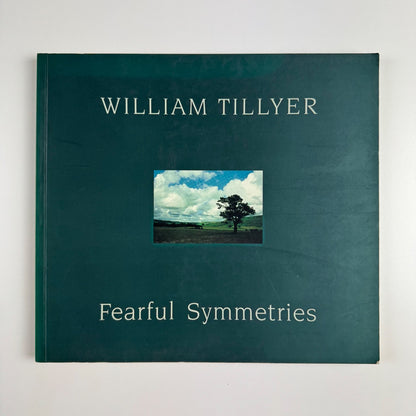 William Tillyer. Fearful Symmetries | Bernard Jacobson Gallery 1993