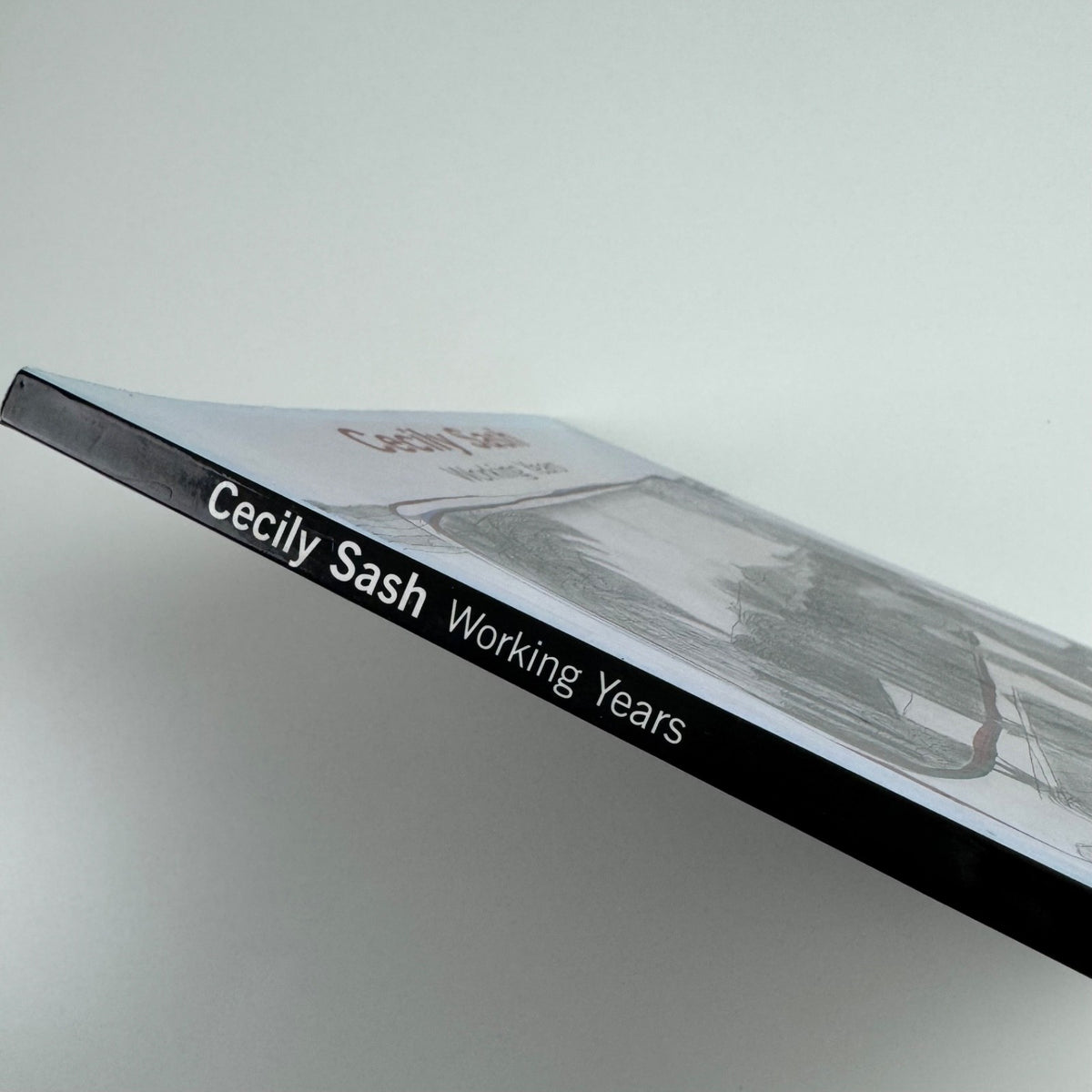 Cecily Sash - Working Years | ed. Victor Thorne | Studio Sash, 1999
