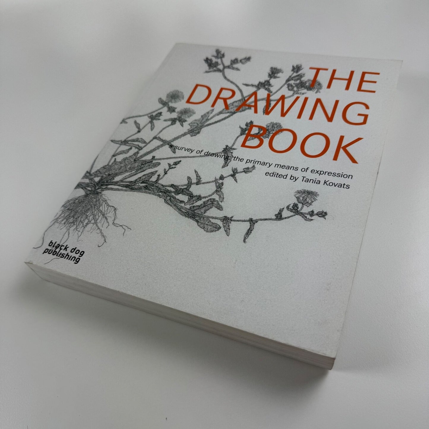 The Drawing Book. A survey of the primary means of expression ed Tania Kovats