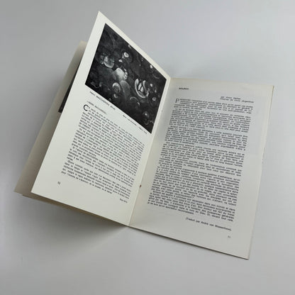 Fantasmagie Bulletin 30 Le Signe II May 1971