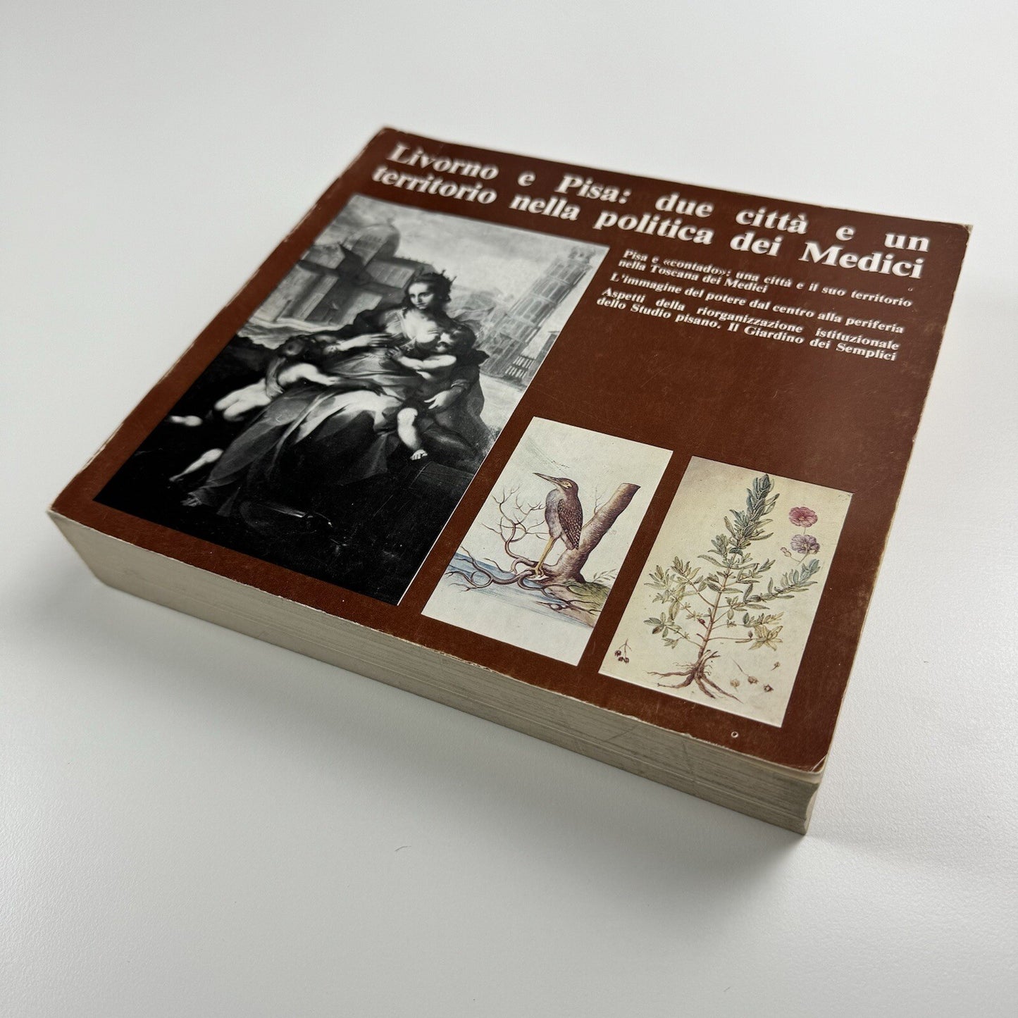 Livorno e Pisa: due città e un territorio nella politica dei Medici | Nistri-Lischi e Pacini, 1980