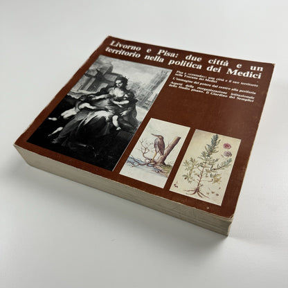 Livorno e Pisa: due città e un territorio nella politica dei Medici | Nistri-Lischi e Pacini, 1980