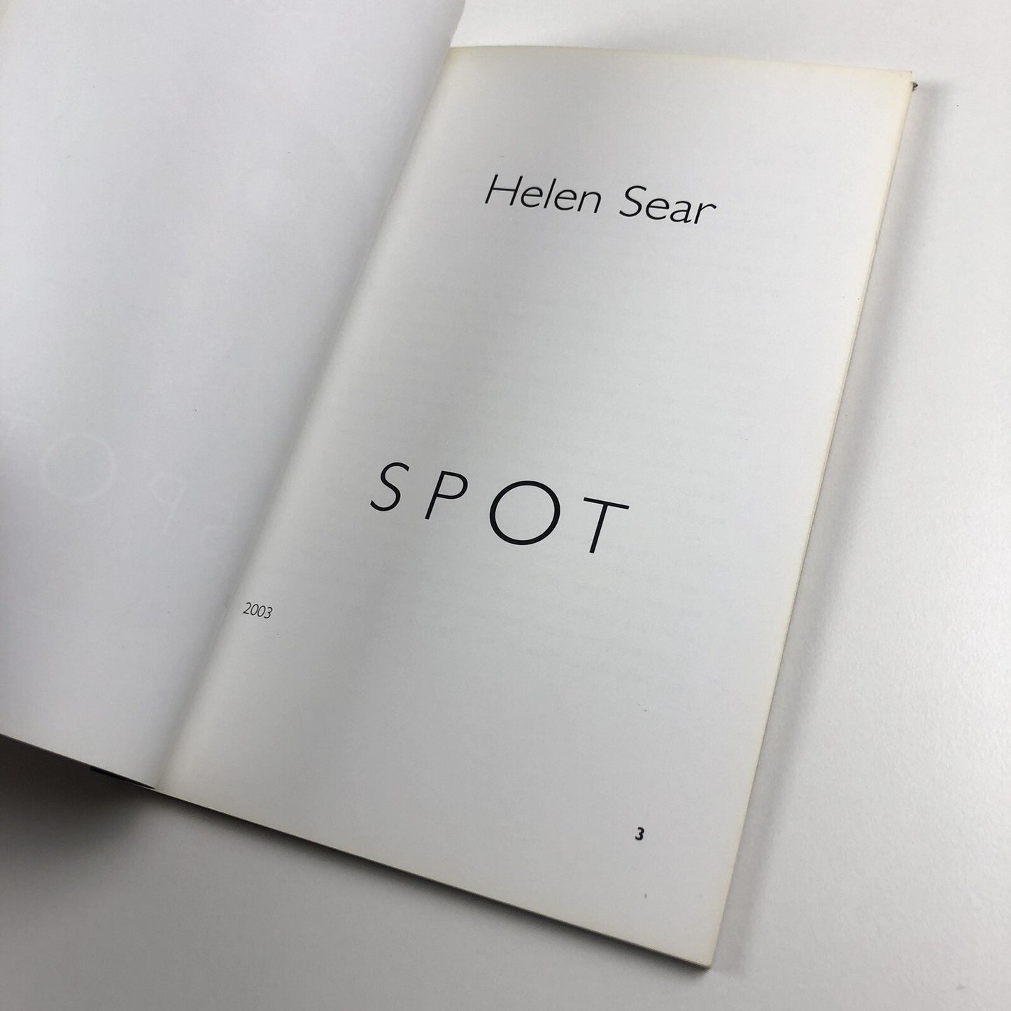 Helen Sear – Spot | Nottingham City Museums and Galleries, 2003