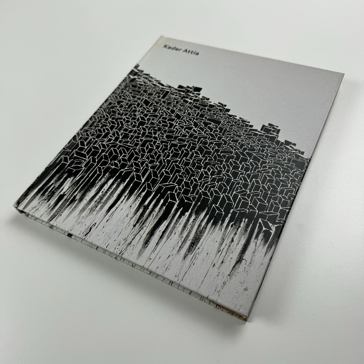 Kader Attia | Musée Art Contemporain, Lyon 2006 catalogue