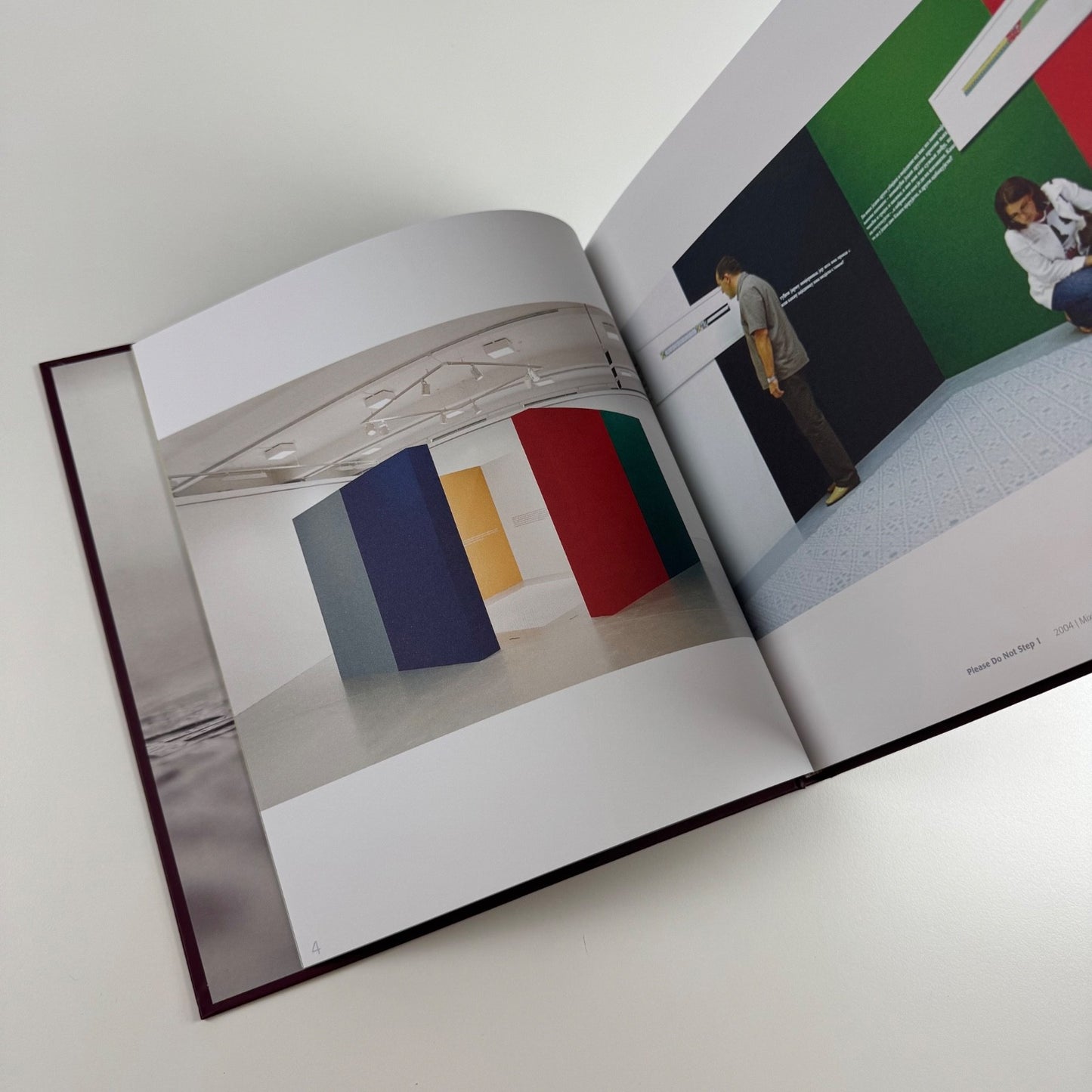 Hamra Abbas. Object Lessons | Green Cardamon, 2009