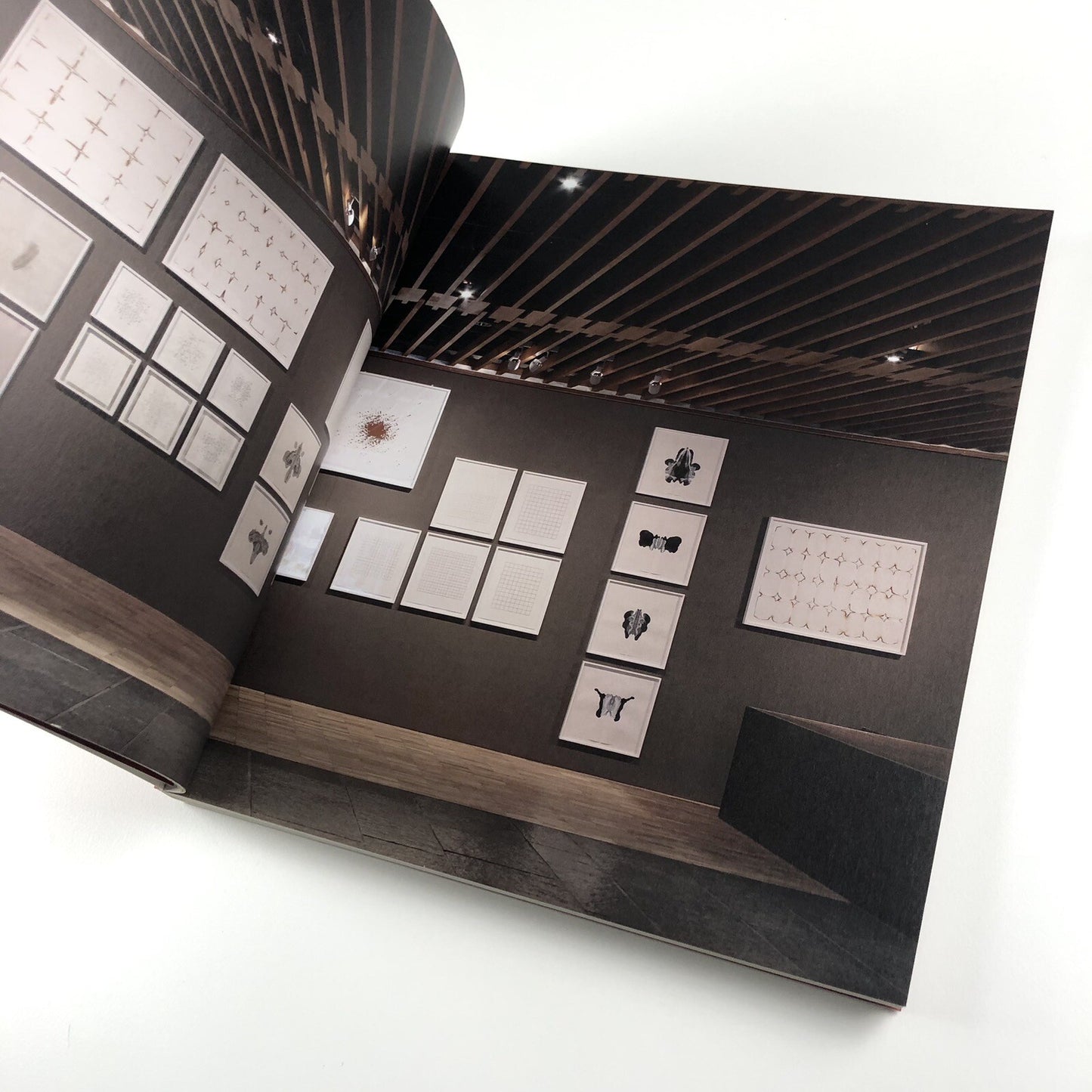 Cornelia Parker | The Whitworth Gallery, University of Manchester catalogue 2015