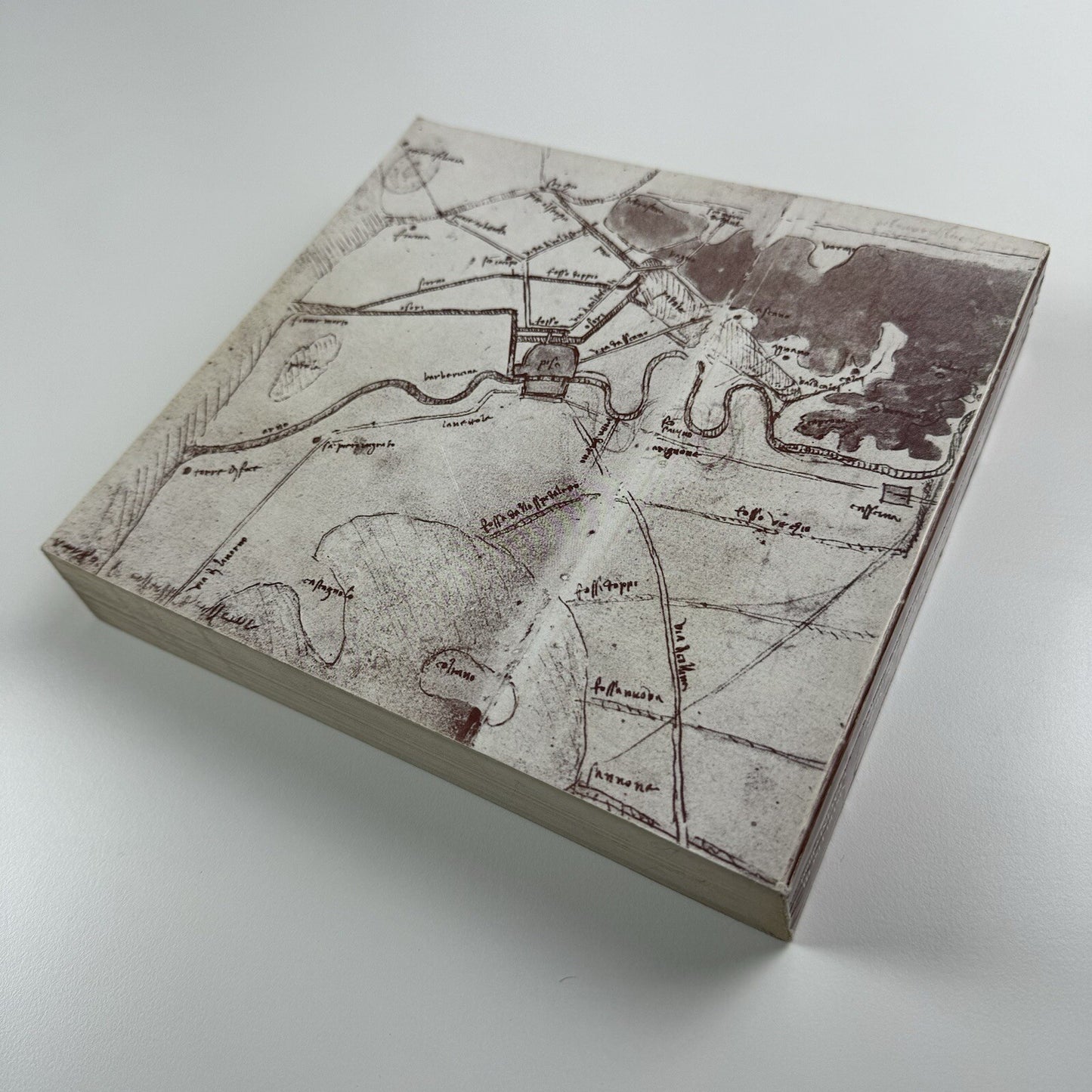 Livorno e Pisa: due città e un territorio nella politica dei Medici | Nistri-Lischi e Pacini, 1980