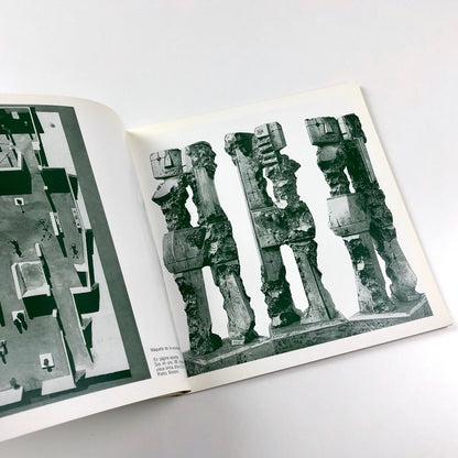 Libero Badii y el espacio 56 | Centro Des Artes Visuales Del Instituto Torcuato | 1968 catalogue