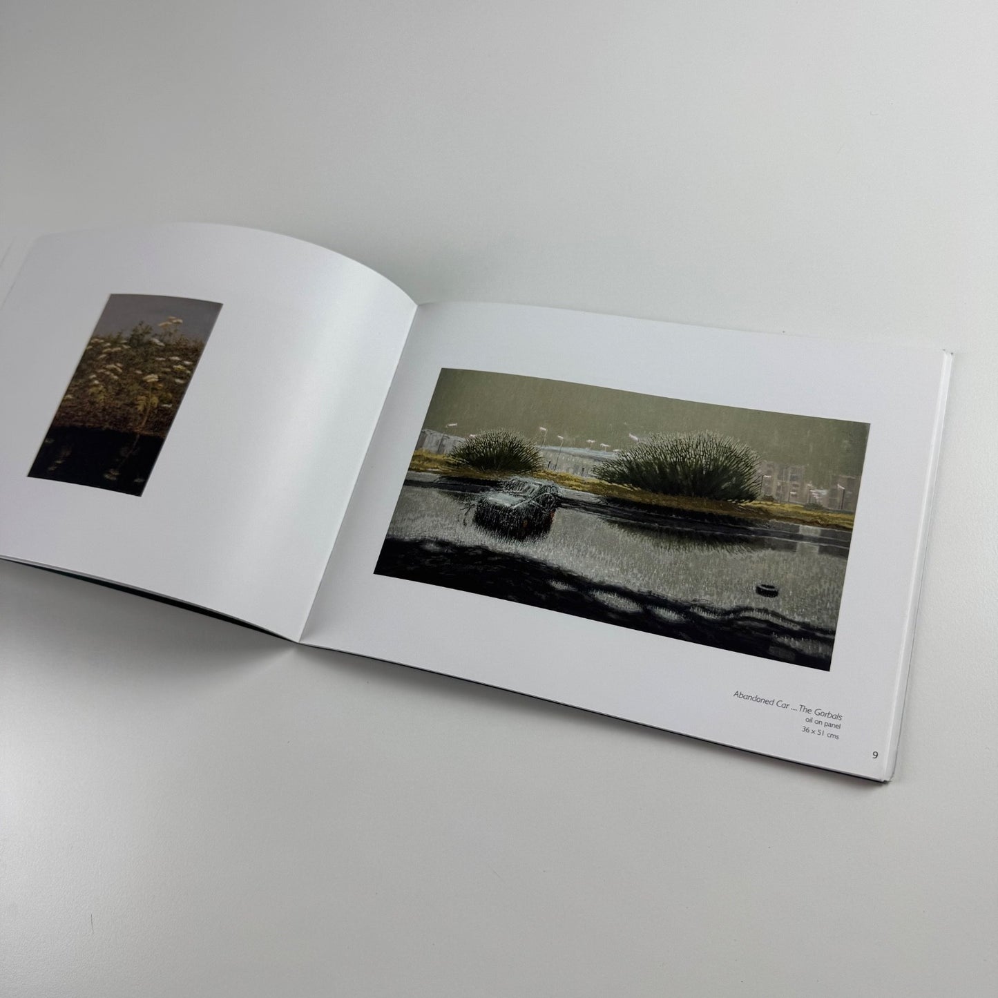Peter Thomson. Wild observations of a tamed landscape | Lemon Street Gallery 2016