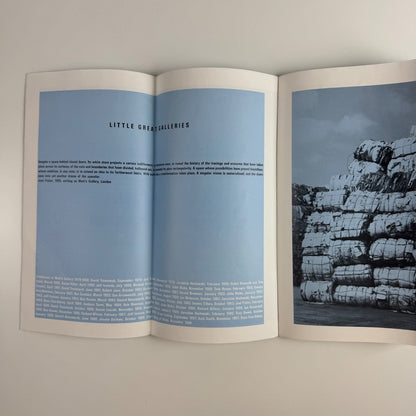 Catalogue for Pat Steir. The Little Critic | Victoria Miro, 1988