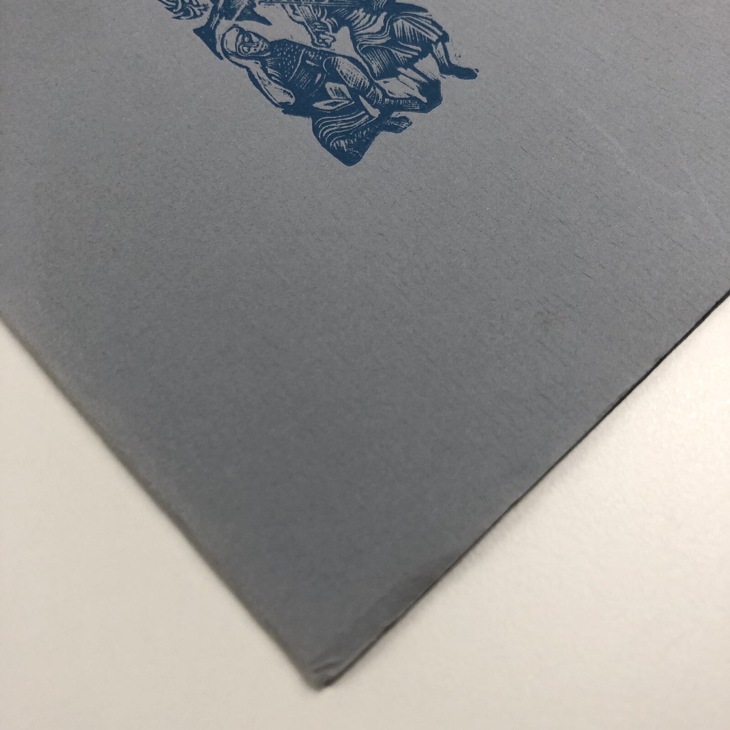 Promotional leaflet for Tern Press | Nicholas and Mary Parry, c.1988