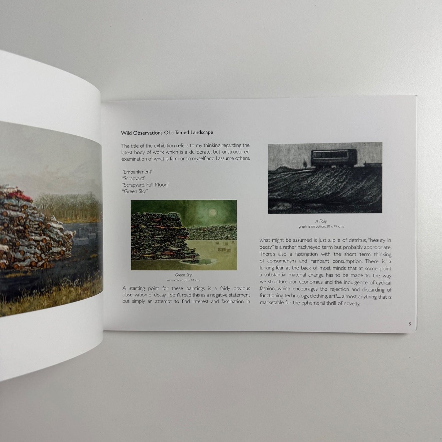 Peter Thomson. Wild observations of a tamed landscape | Lemon Street Gallery 2016