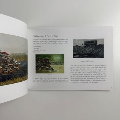 Peter Thomson. Wild observations of a tamed landscape | Lemon Street Gallery 2016