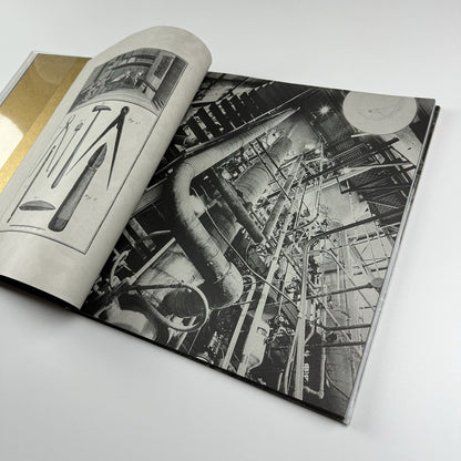 Max Ernst | Helly Nahmad Gallery, London, 2006