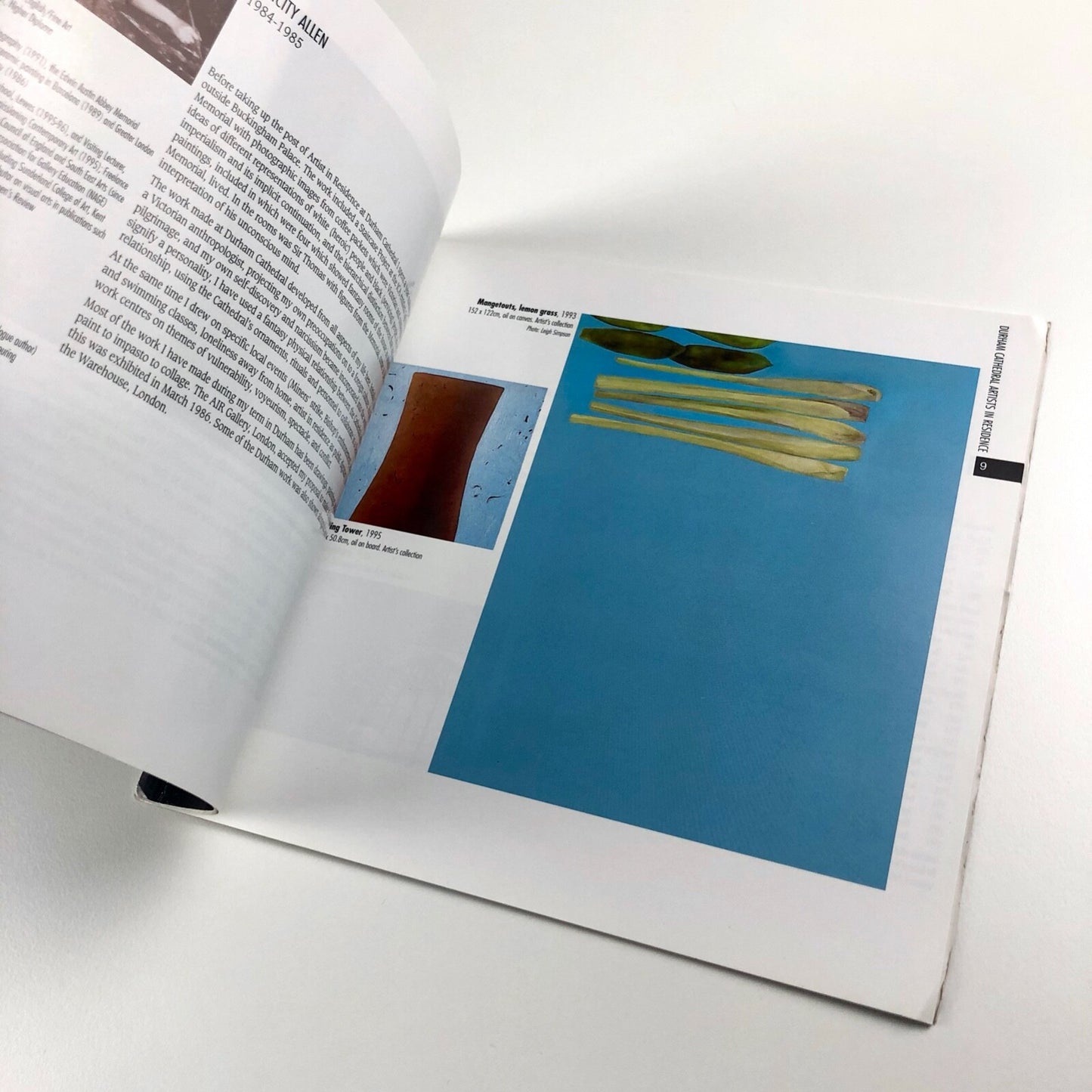 Artists in Residence – Durham Cathedral | Durham Art Gallery catalogue, 1996