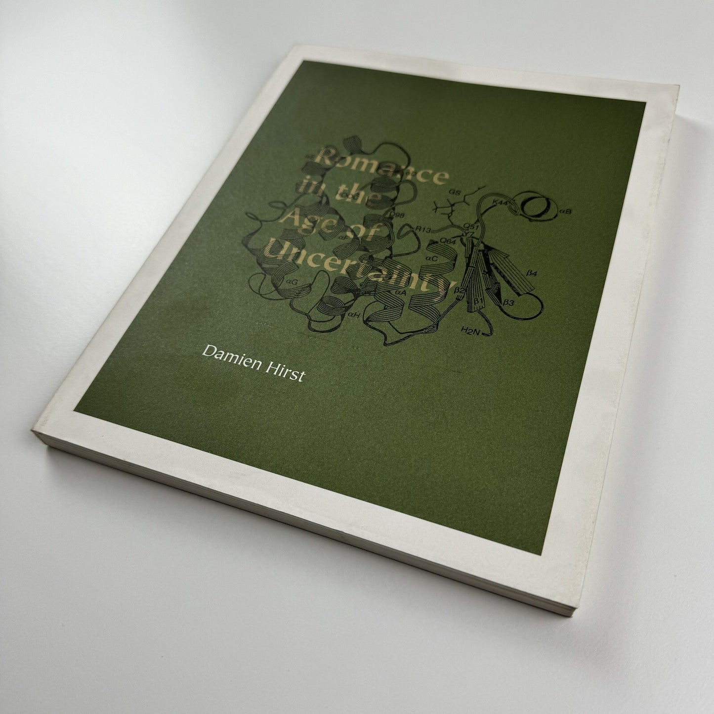Romance in the Age of Uncertainty | Damien Hirst | White Cube catalogue | Jay Jopling, 2003