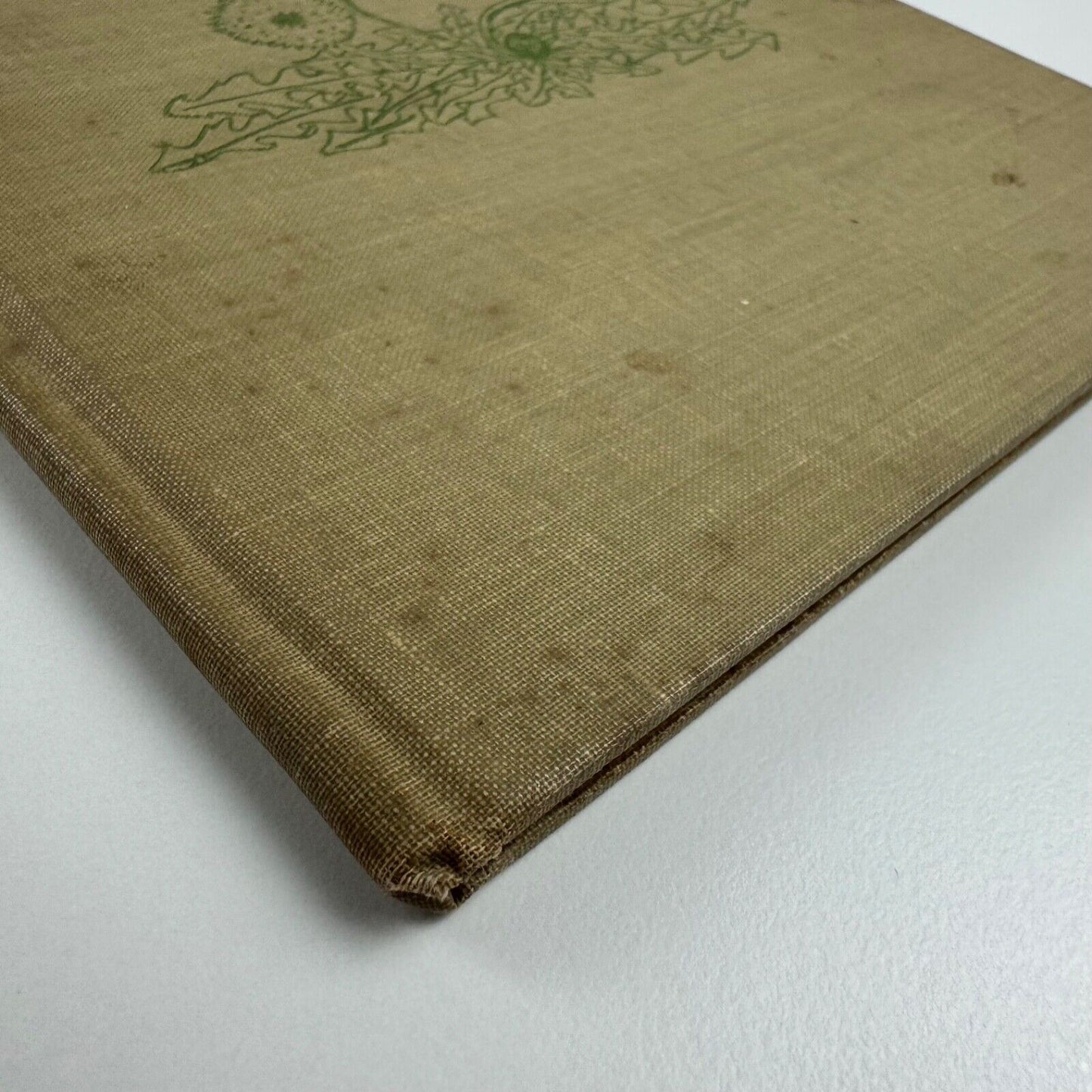 Travelers All, the story of how plants go places. Written & drawn by Irma E. Webber. William R. Scott, New York. Undated, c. 1945
