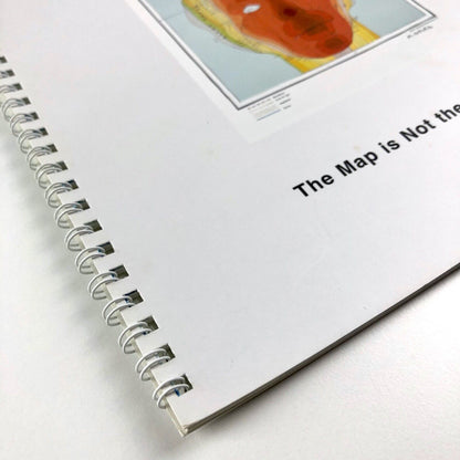 The Map is Not the Territory part iii | James Hockey & Foyer Gallery, 2003