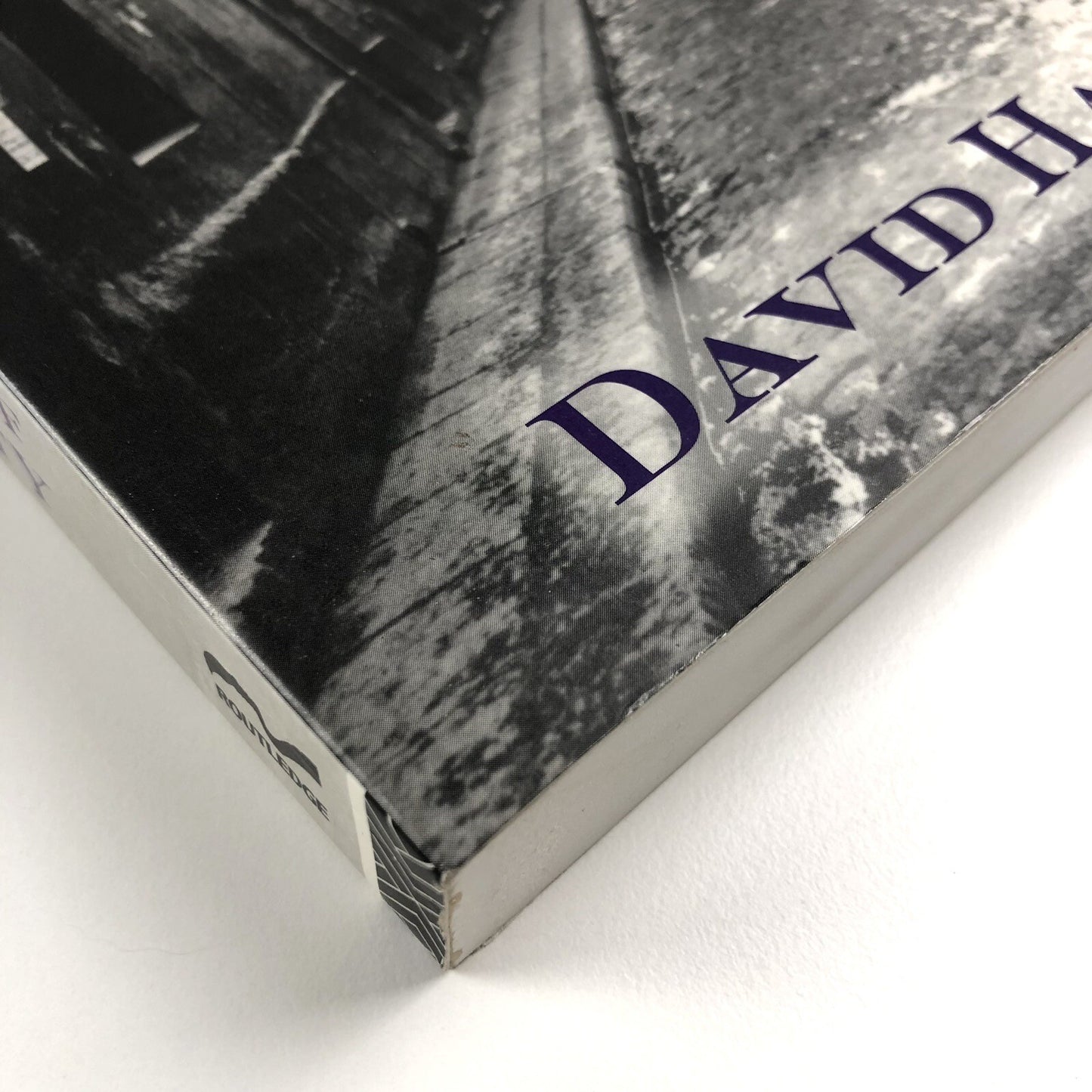 Paris, Capital of Modernity by David Harvey | Routledge, 2006 paperback