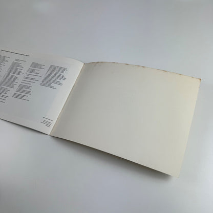 Brendan Neiland Recent Paintings | Fischer Fine Art London 1991