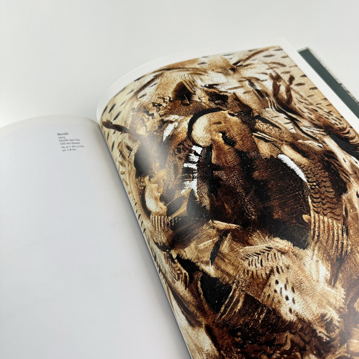 Ali Banisadr: In Medias Res | Galerie Thaddaeus Ropac text Philippe Dagen | 2015 catalogue