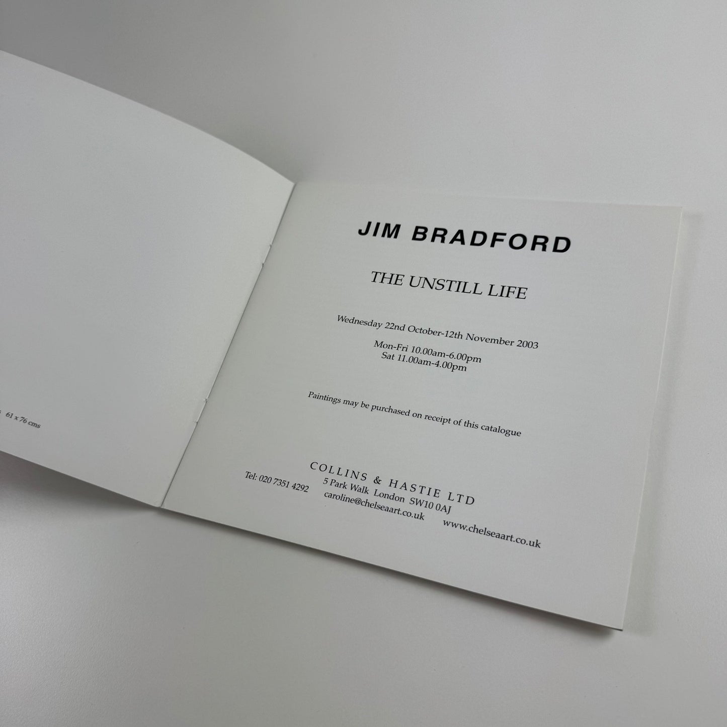 Jim Bradford. The unstill life | Collins & Hastie, 2003