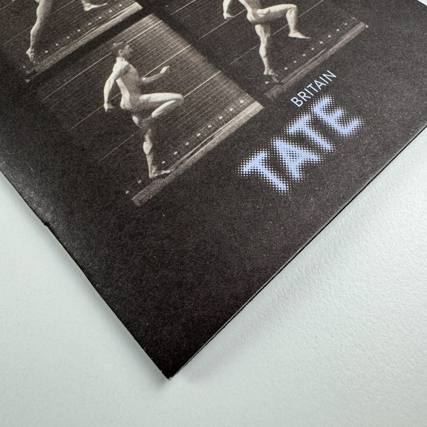 Eadweard Muybridge | Small exhibition guide, Tate Britain 2011