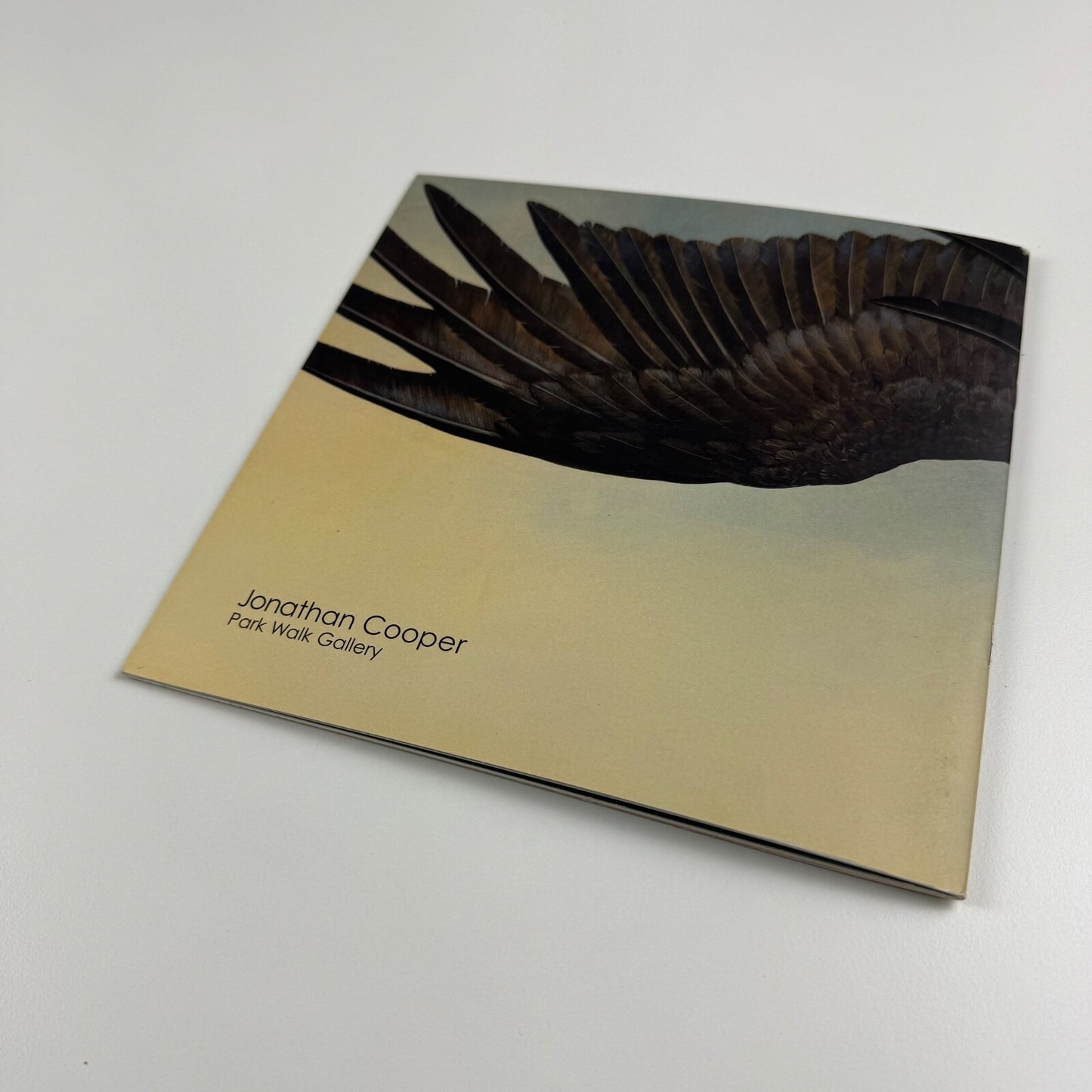 Tim Hayward. Birds of Prey | Jonathan Cooper, undated