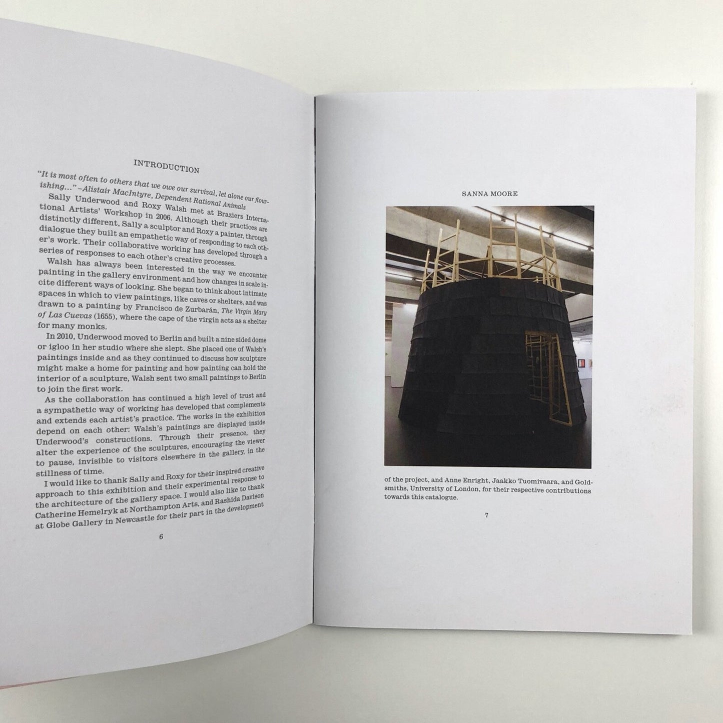 Dependent Rational Animals Roxy Walsh and Sally Underwood | Towner Gallery catalogue, 2013