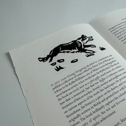 Prospectus for Kyffin A Celebration. Edited by Derek Llwyd Morgan | Gwasg Gregynog