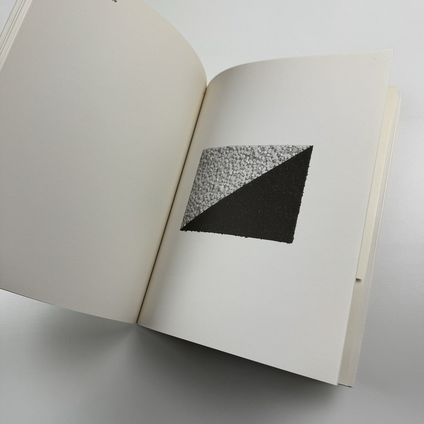 Romance in the Age of Uncertainty | Damien Hirst | White Cube catalogue | Jay Jopling, 2003