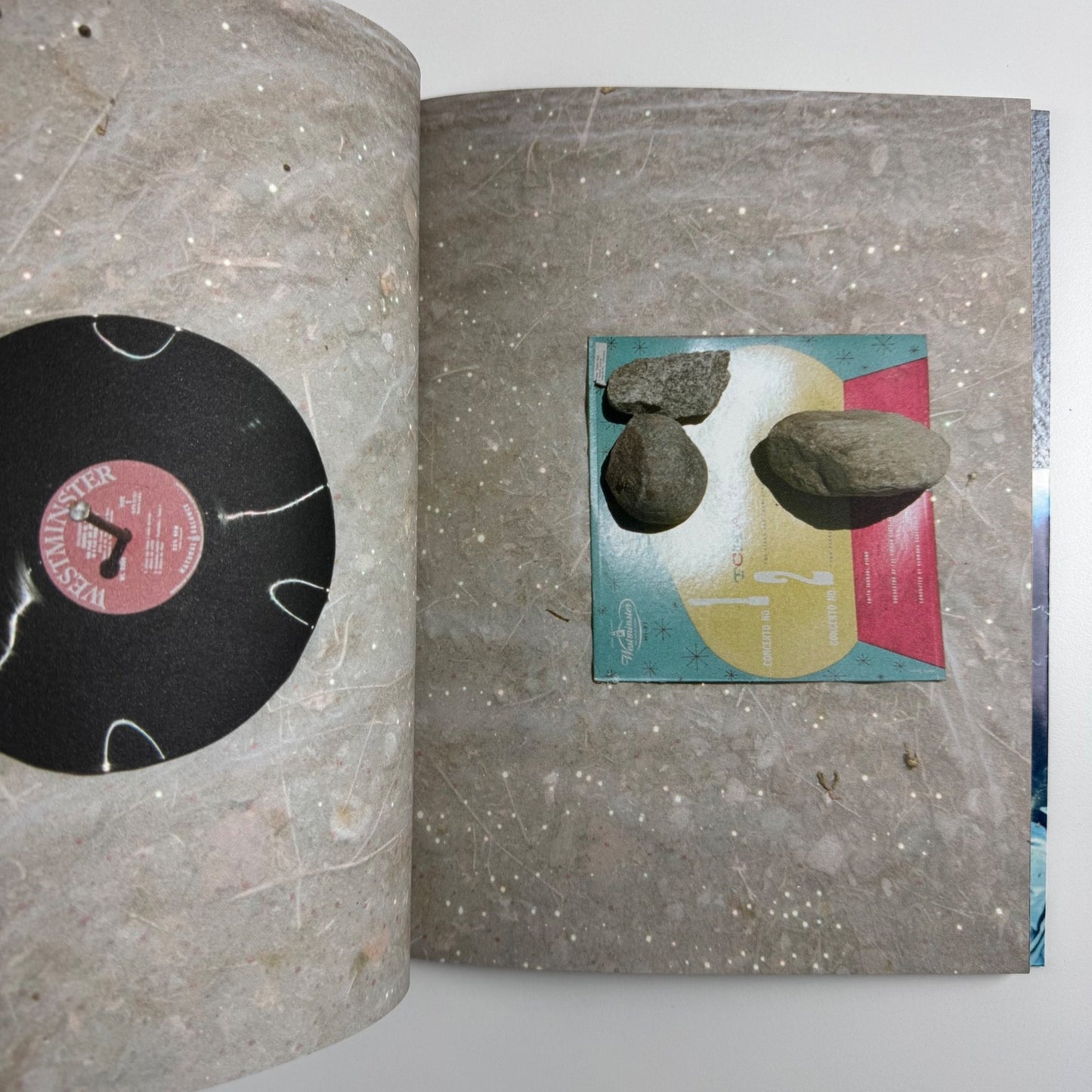 The Seasons Sam. Four Forever Falls Nicolas Trembley Flash Art Books, 2000