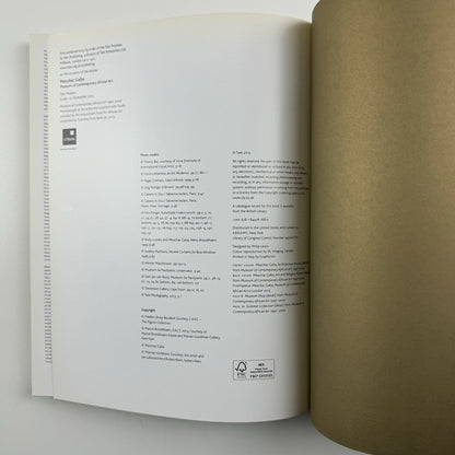 Meschac Gaba | Museum of Contemporary African Art | Tate 2013 catalogue