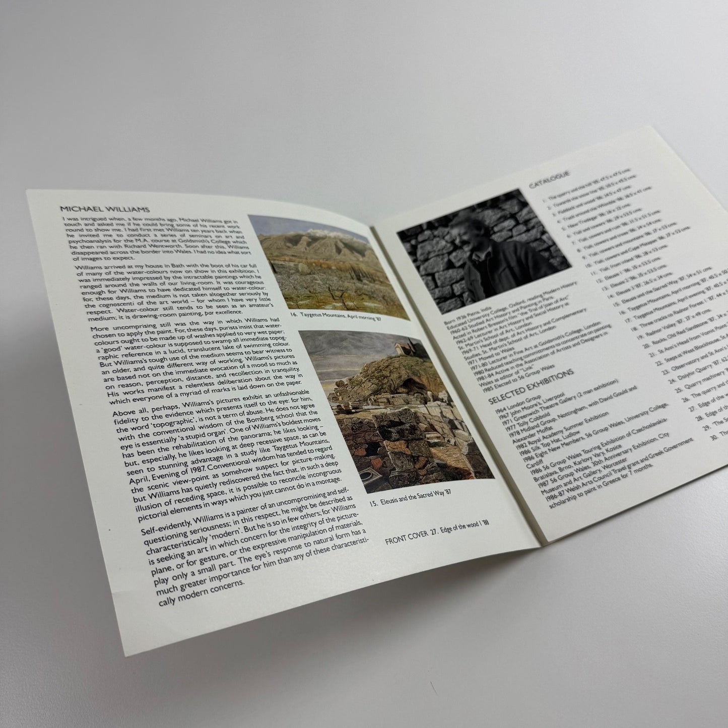 Folding card/catalogue for Michael Williams. Recent Landscapes | Austin/Desmond Fine Art undated c.1988