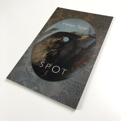 Helen Sear – Spot | Nottingham City Museums and Galleries, 2003