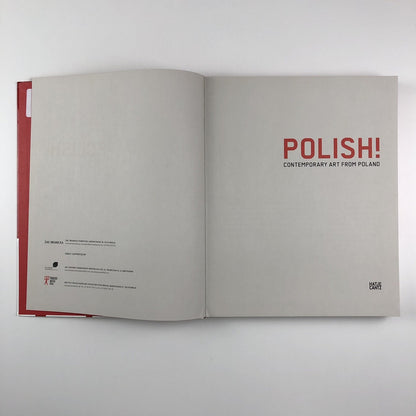 Contemporary Art from Poland | Hatje Cantz, 2011
