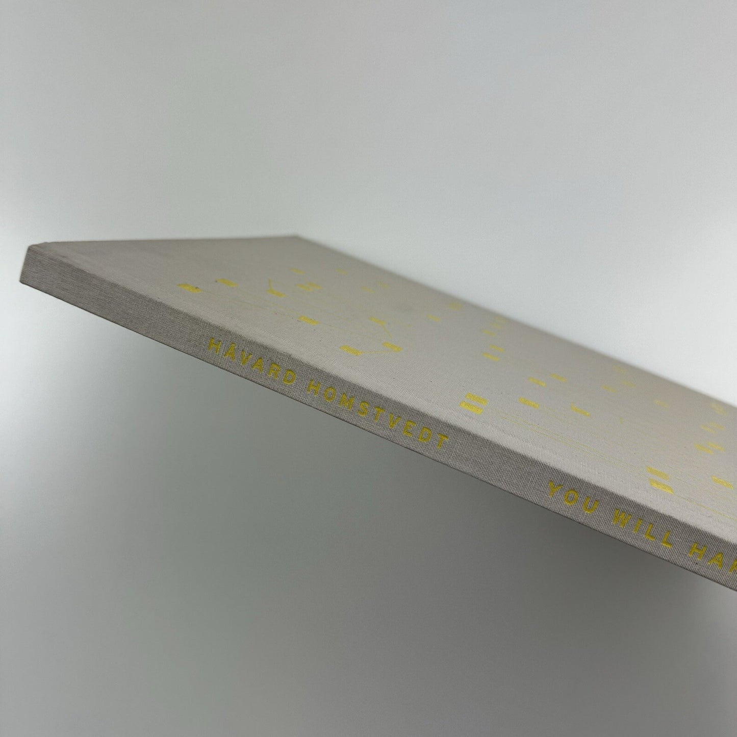 Håvard Homstvedt: You Will Hardly Know | Galleri Riis, 2008 catalogue