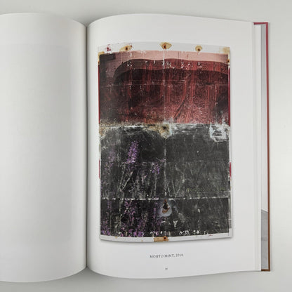 Borden Capalino Works 2013-2015 | Art Cologne 2015