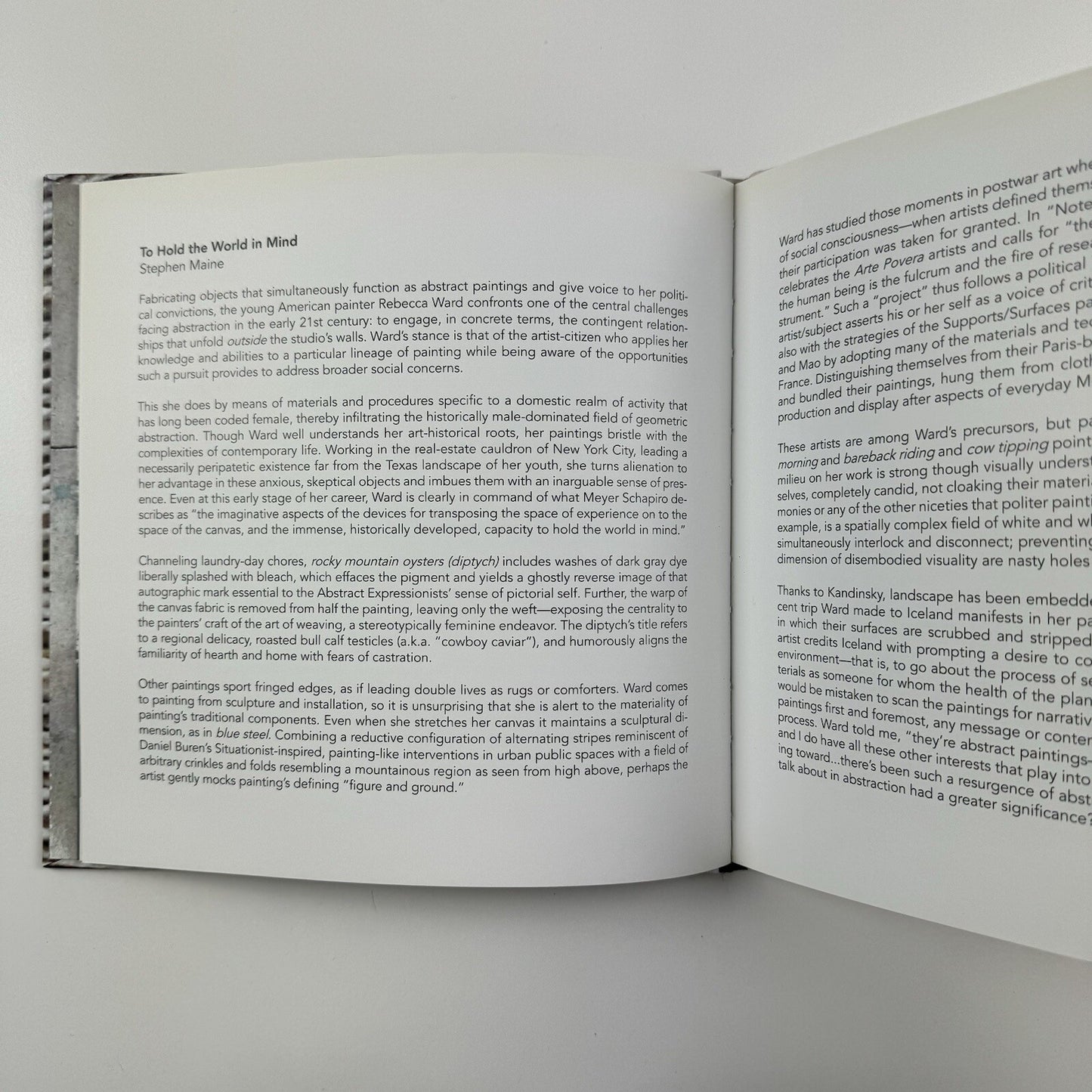 Rebecca Ward. Cow Tipping | Ronchini Gallery / Artnesia 2013 catalogue