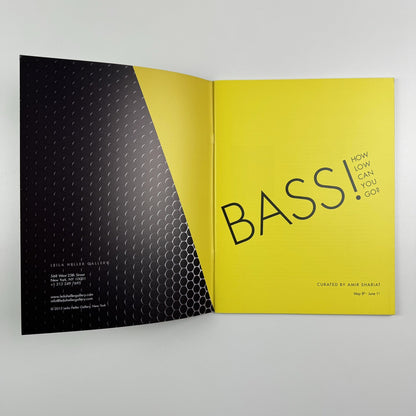 Bass! How low can you go? Leila Heller Gallery catalogue, New York 2013