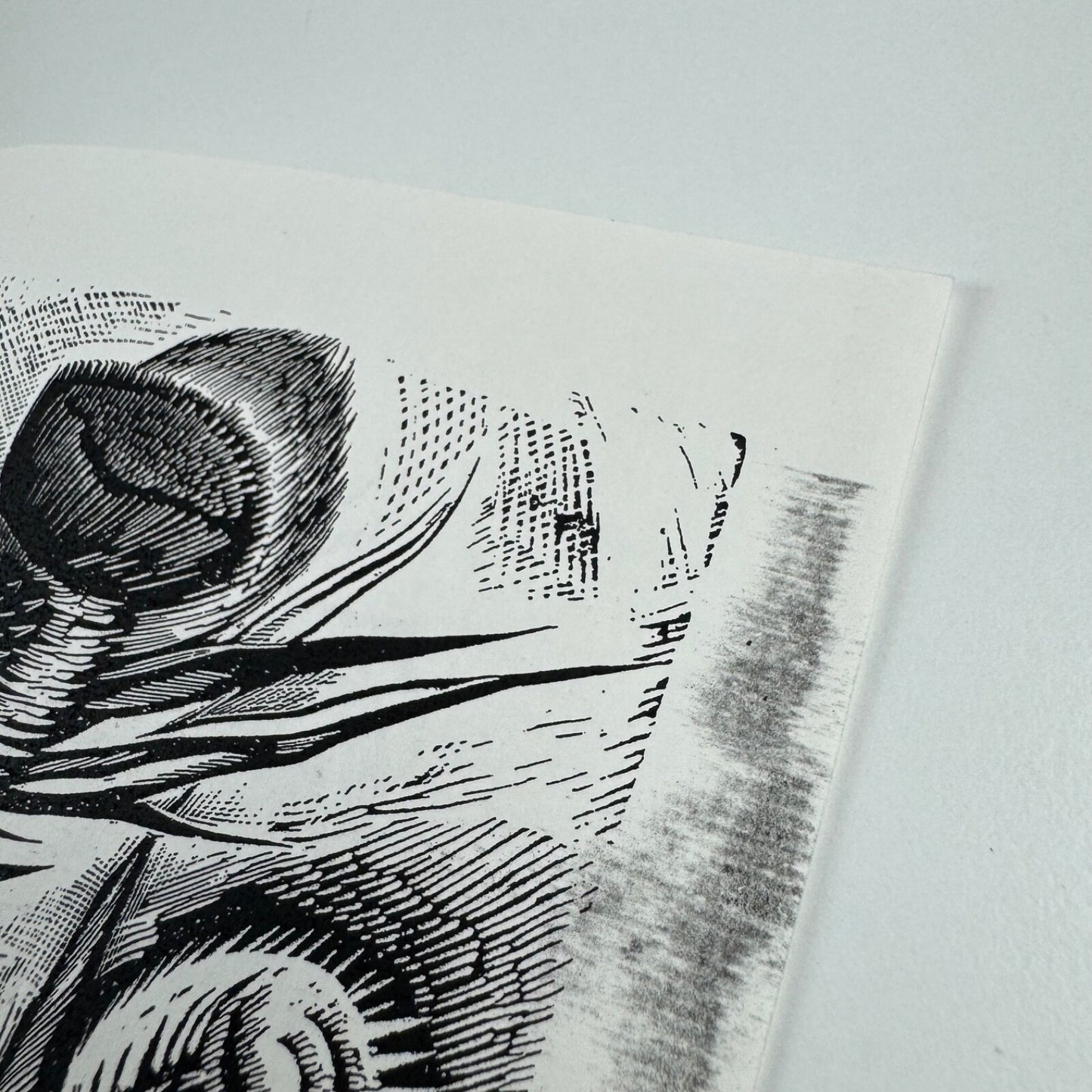 Order form for Before the war Katherine Fryer The Old Stile Press, 2000