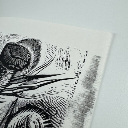 Order form for Before the war Katherine Fryer The Old Stile Press, 2000