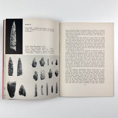 Bulletin University Museum, University of Pennsylvania, Vol XIV No 4, June 1950