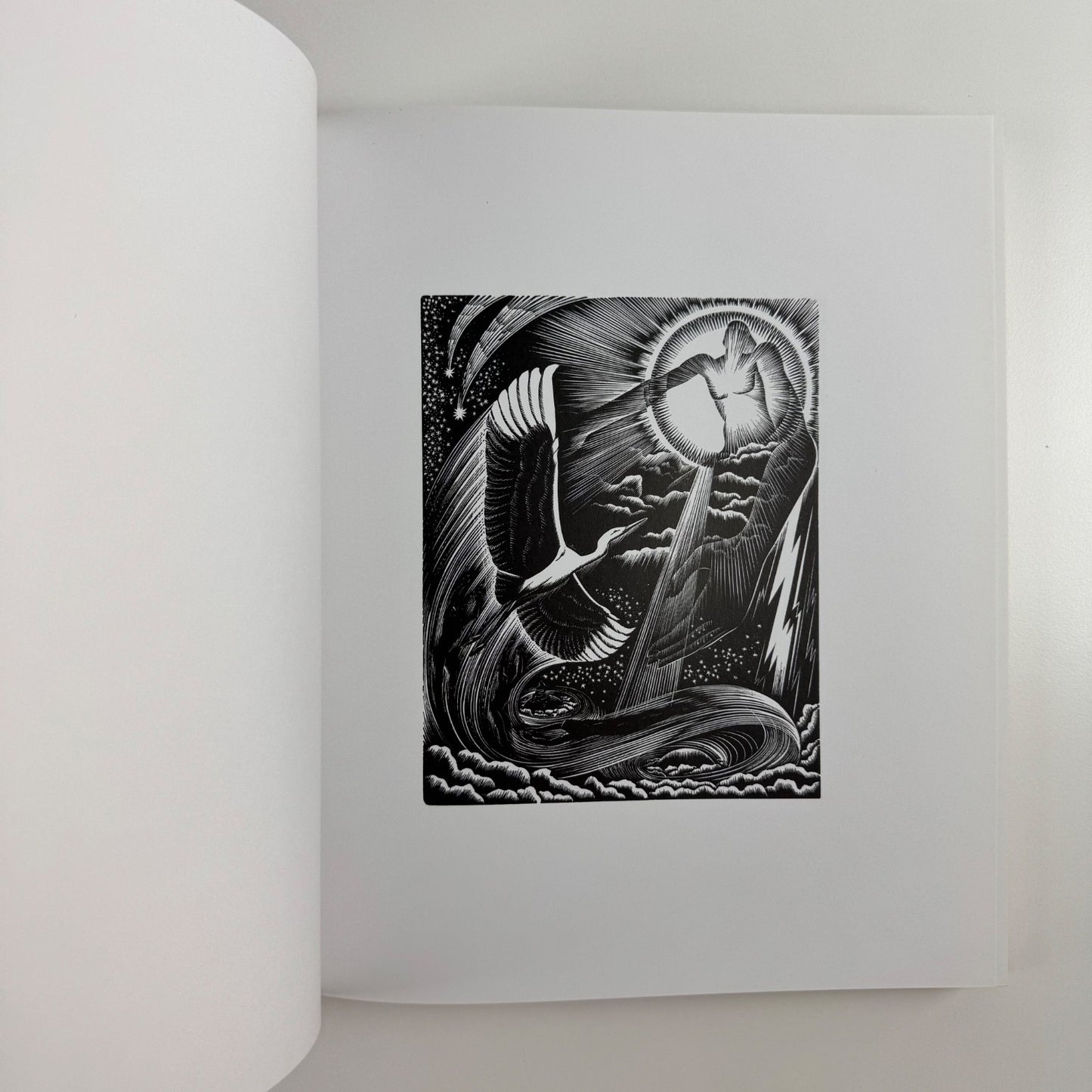 E. Mervyn Taylor. Artist Craftsman by Bryan James | Steele Roberts, 2006