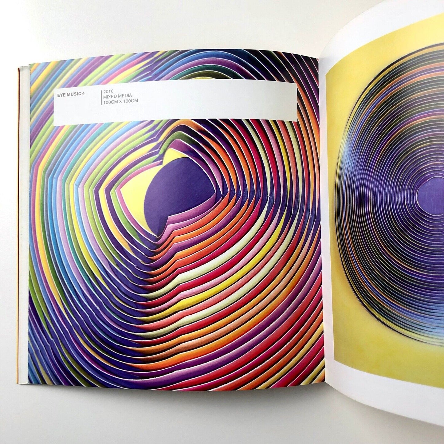 Peter Monaghan exhibition catalogue | Cube Gallery, Bristol 2010