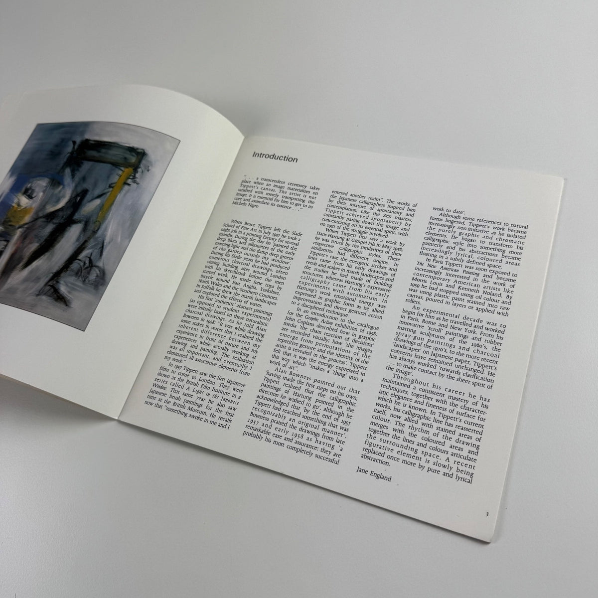 Bruce Tippett. Paintings & Drawings | England & Co, 1992