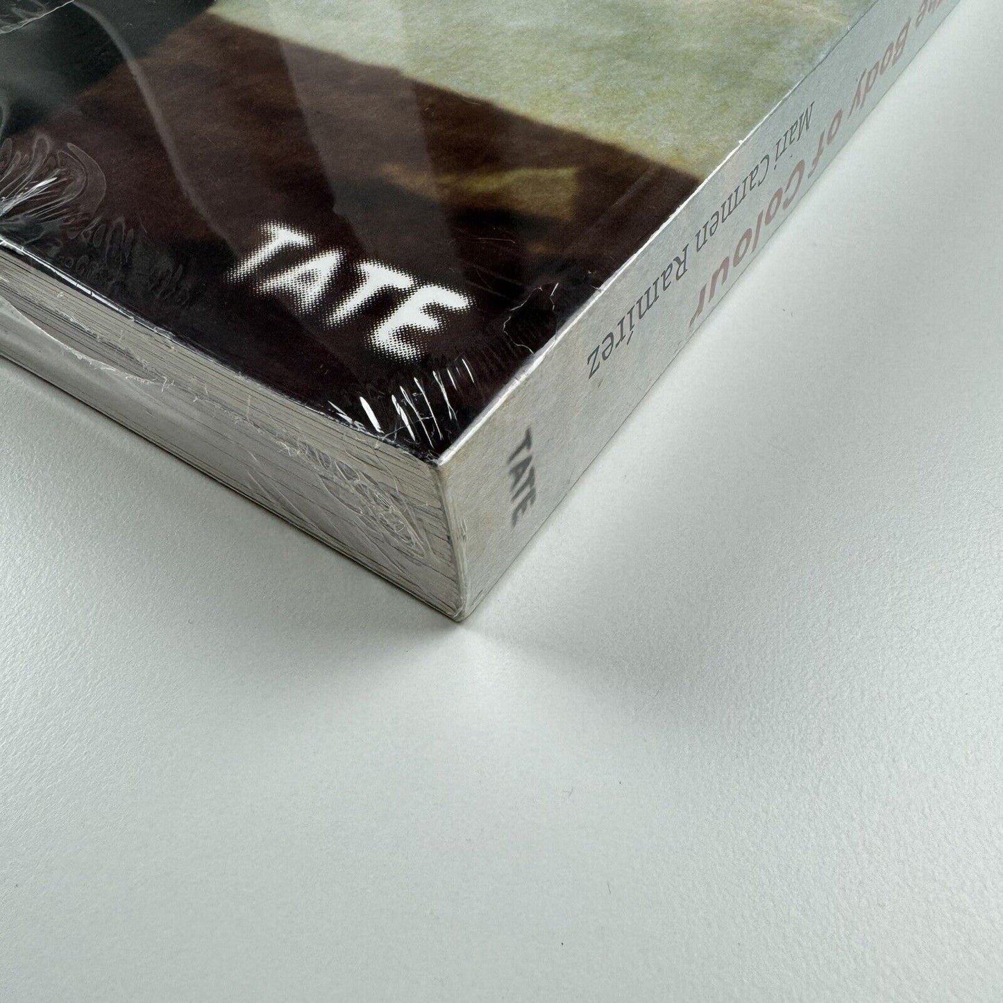 Hélio Oiticica. The Body of Colour | Museum of Fine Art Houston | Tate Modern, 2006/7