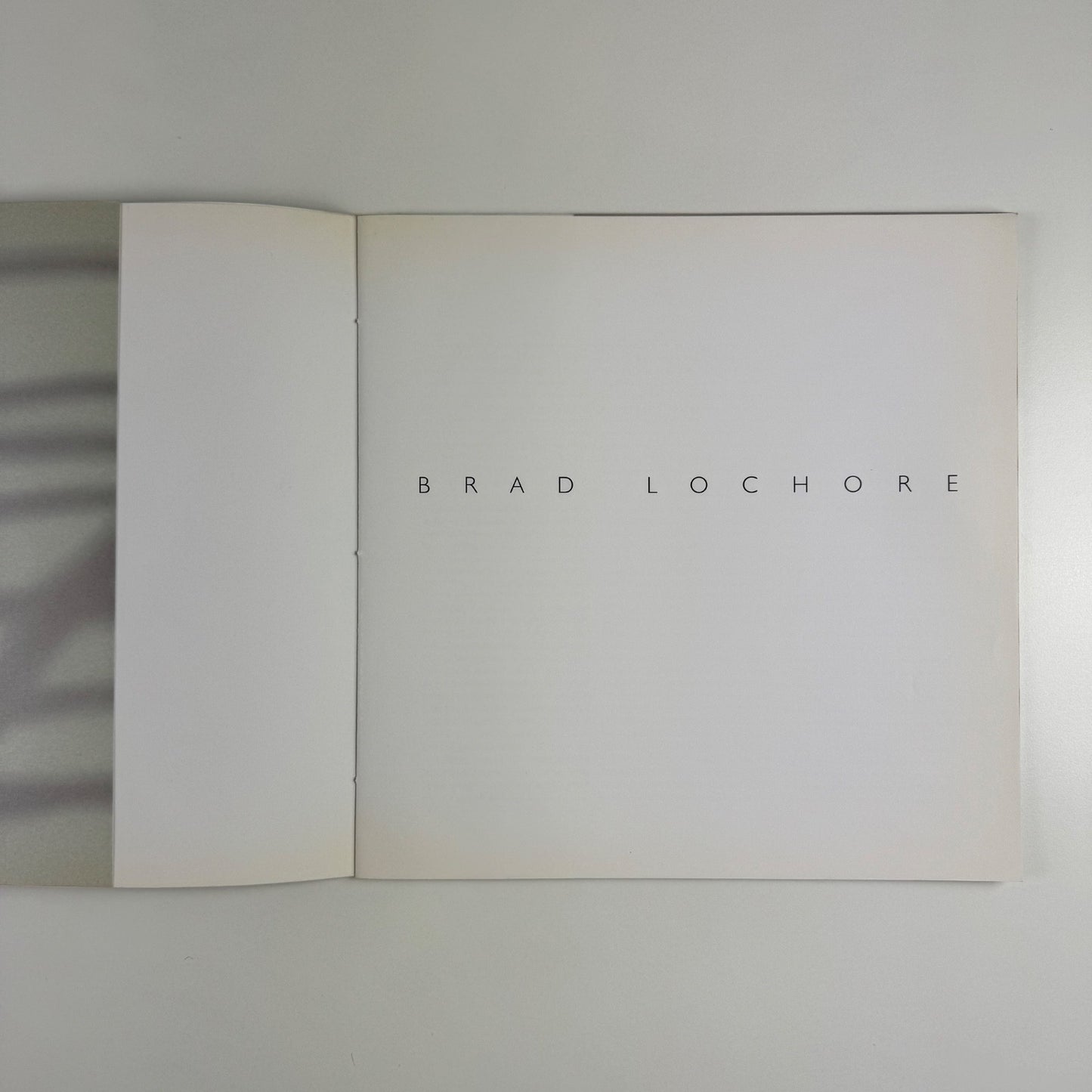 Brad Lochore. Paintings | Angel Row Gallery / Victoria Miro Gallery, 1998